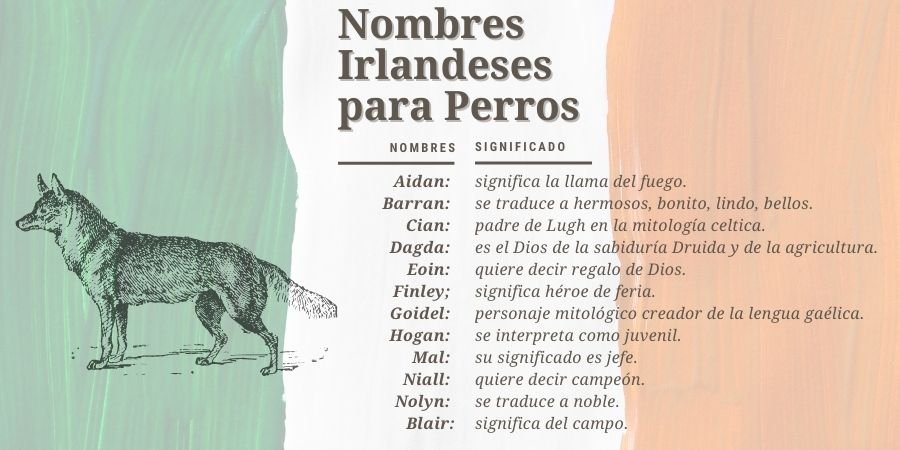 Lista de nombres para perros en Irlanda