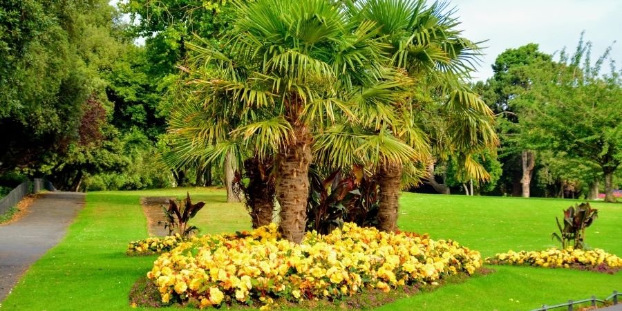 bellos jardines del parque de Irlanda