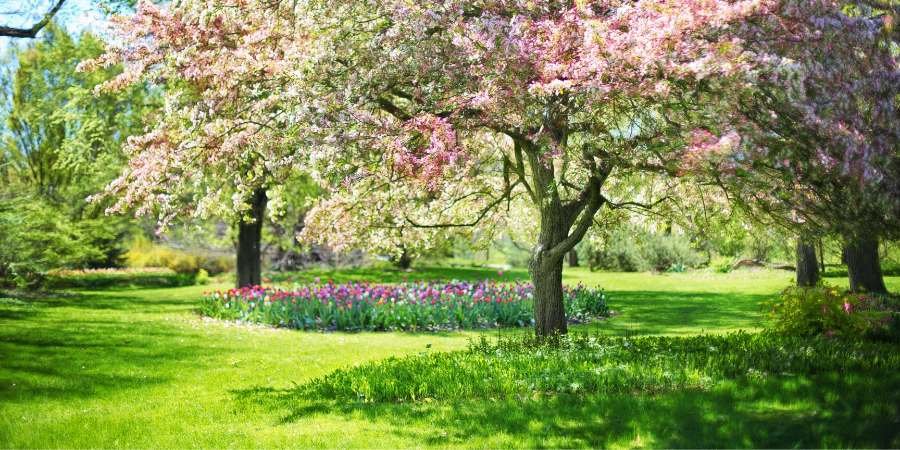 estudiar inglés en primavera
