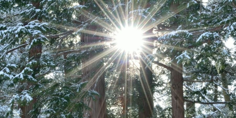 Información del Solsticio de Invierno
